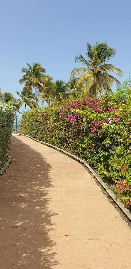 Gwada Studio Vue Mer Le Gosier Apartman